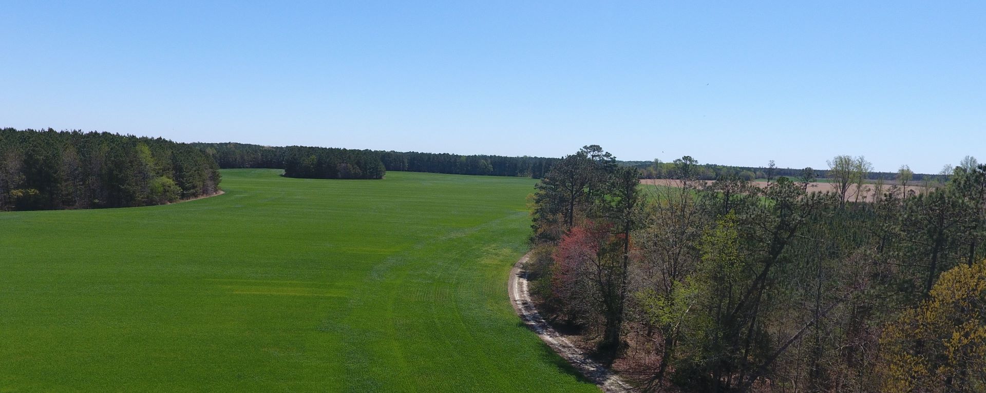 SC Land for Sale